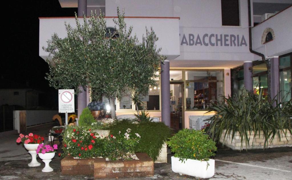 Pensione Degli Ulivi Porto SantʼElpidio エクステリア 写真
