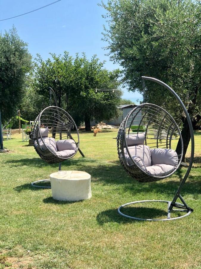 Pensione Degli Ulivi Porto SantʼElpidio エクステリア 写真