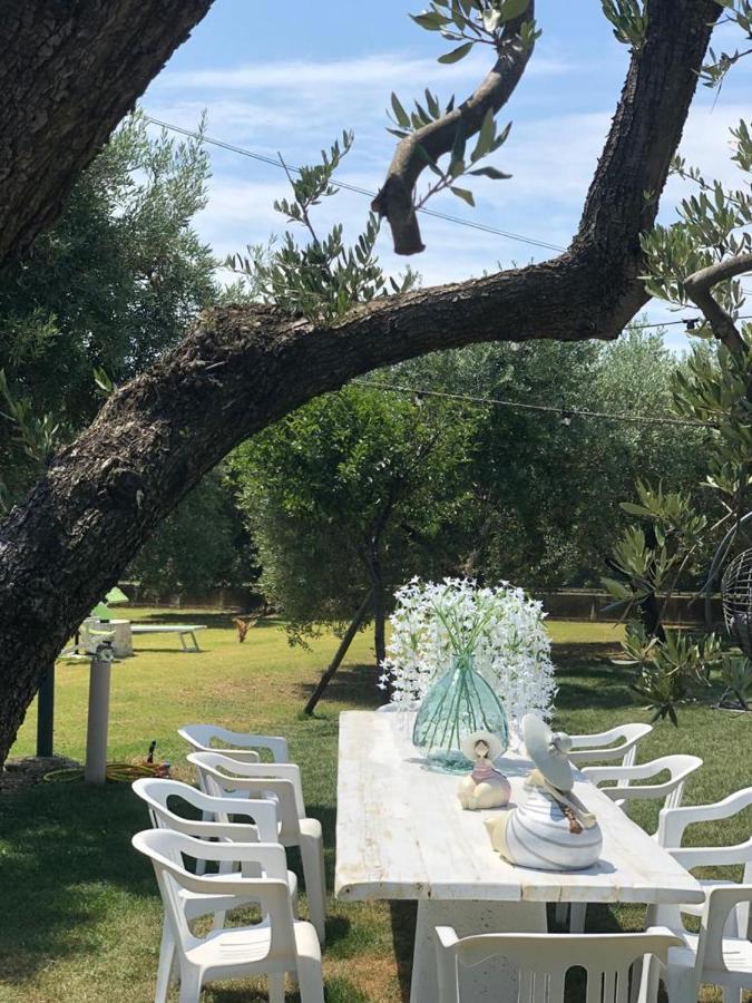 Pensione Degli Ulivi Porto SantʼElpidio エクステリア 写真