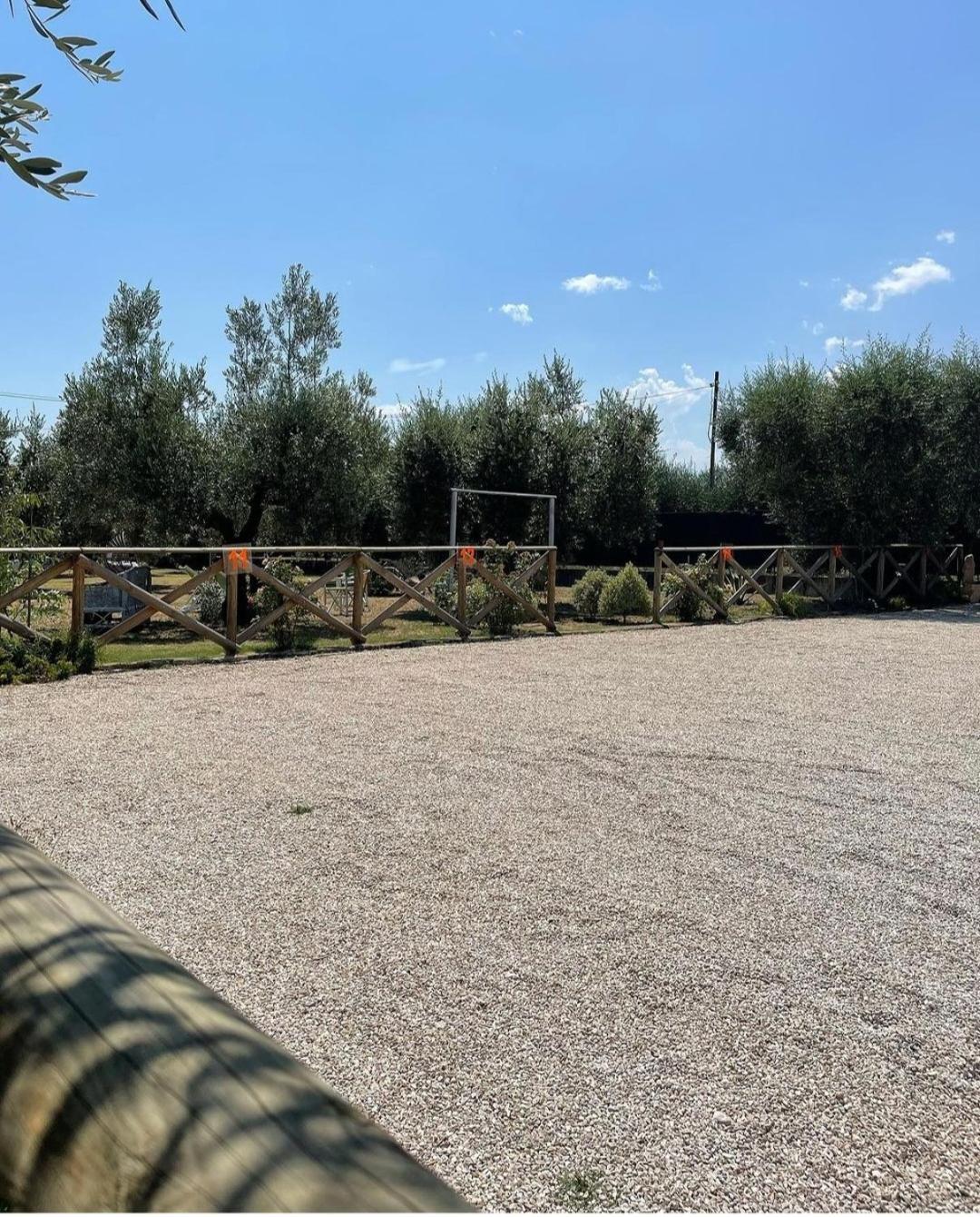 Pensione Degli Ulivi Porto SantʼElpidio エクステリア 写真